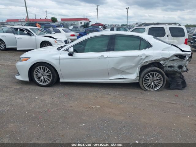 4T1B11HK8KU811117 Toyota CAMRY XLE