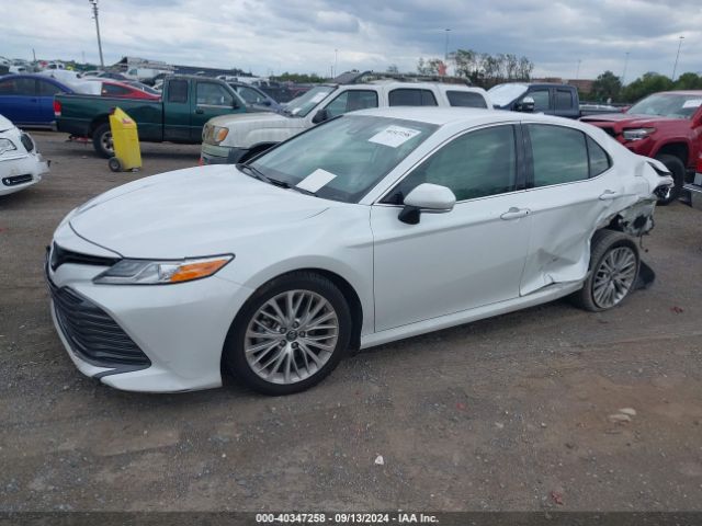 4T1B11HK8KU811117 Toyota CAMRY XLE