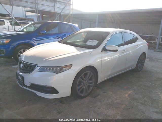 19UUB1F39FA006581 Acura TLX