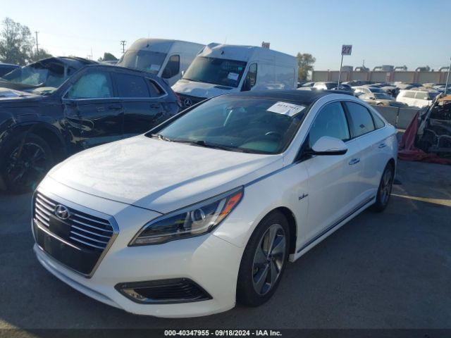 KMHE34L11GA031413 Hyundai Sonata Hybrid Limited
