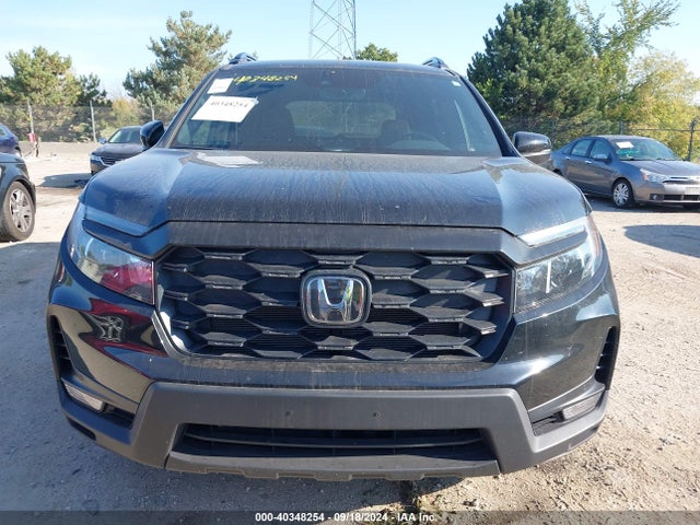 Honda Passport Awd Ex-l 2024 5FNYF8H56RB007713 Image 12