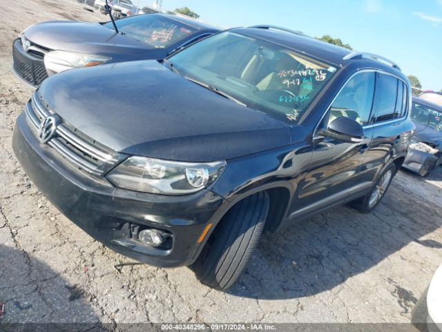 WVGAV3AX1EW612436 Volkswagen Tiguan Sel