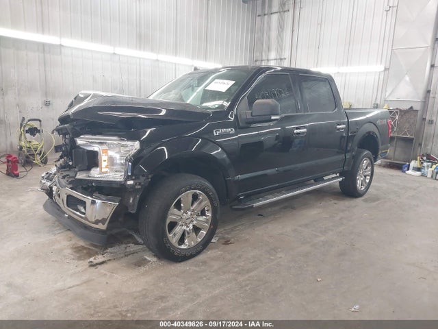 Ford F-150 Xlt 2019 1FTEW1EP5KKD64146 Image 2