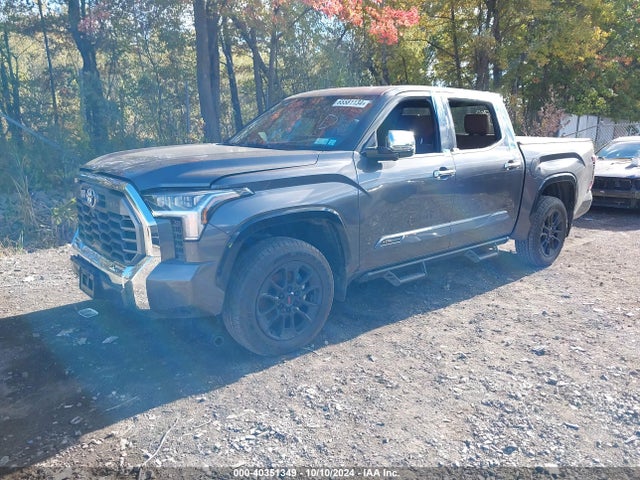 Toyota Tundra 1794 Edition 2023 5TFMA5DB7PX090031 Image 2