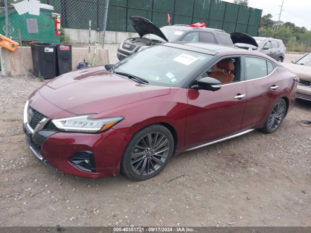 1N4AA6AV6KC366289 Nissan Maxima 3.5 Platinum