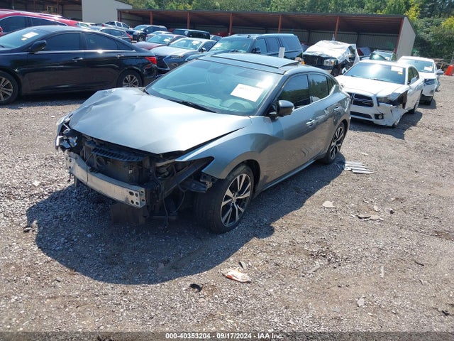 Nissan Maxima 3.5 Platinum 2016 1N4AA6AP1GC392727 Image 2