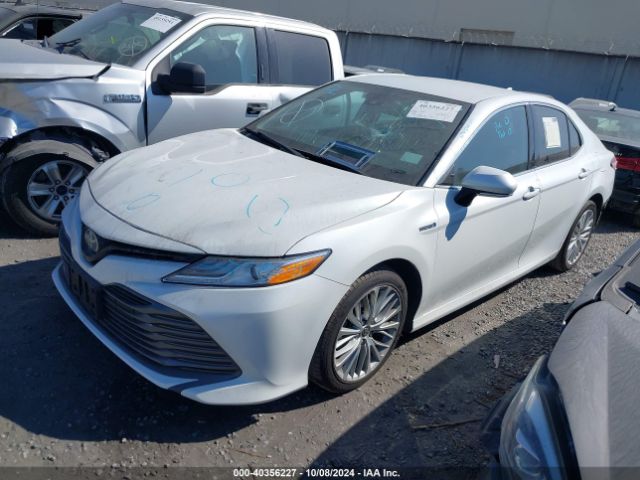 4T1F31AK0LU542473 Toyota Camry Xle Hybrid