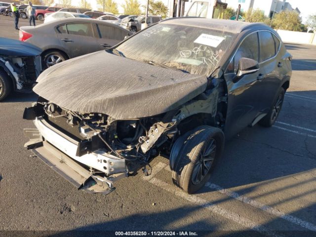 2T2AGCEZ8PC031565 Lexus NX 350
