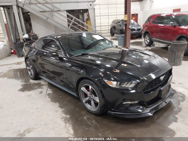2016 1FA6P8AM6G5216010 main image