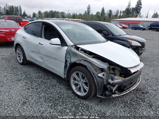 2021 TESLA MODEL Y 5YJYGDEE7MF198819 Photo 0