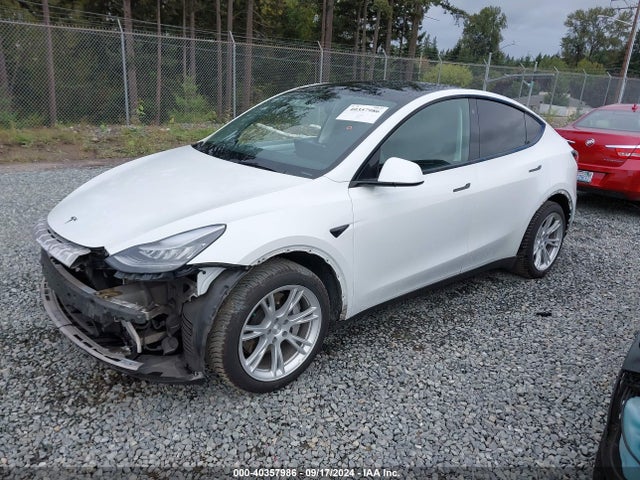 2021 TESLA MODEL Y 5YJYGDEE7MF198819 Photo 1
