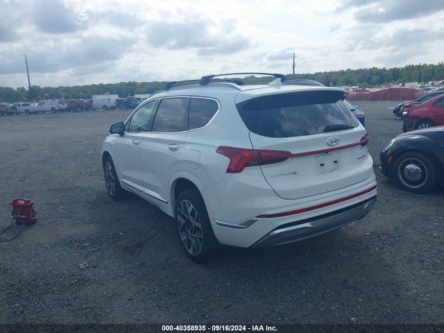 Hyundai Santa Fe Calligraphy 2023 5NMS5DAL3PH512730 Image 3