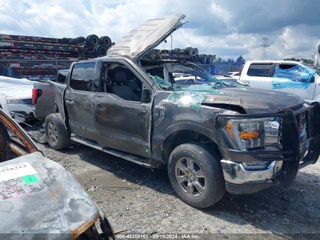 1FTFW1E51MKF09690 Ford F-150 Xlt