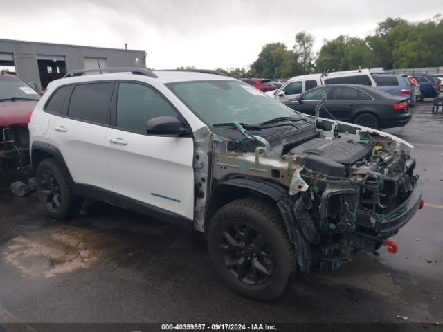1C4PJMBSXGW360451 auction archive image
