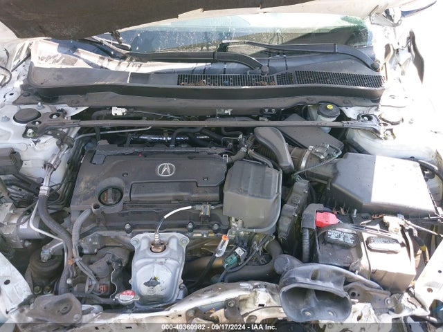 19UUB1F33GA015892 Acura TLX