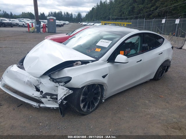 2020 TESLA MODEL Y 5YJYGDEE0LF011273 Photo 1