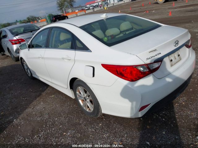 5NPEB4AC8EH920517 Hyundai SONATA GLS