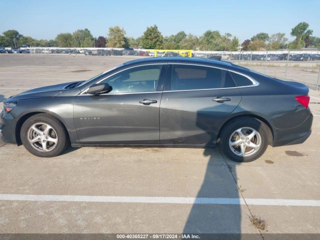 1G1ZB5STXHF180014 Chevrolet MALIBU LS