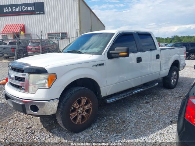 1FTFW1CF1EKD41479 Ford F-150 Xlt