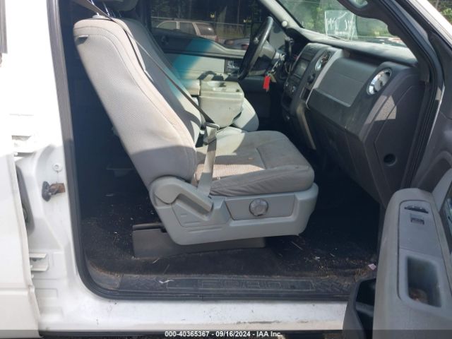 1FTFW1CF1EKD41479 Ford F-150 Xlt