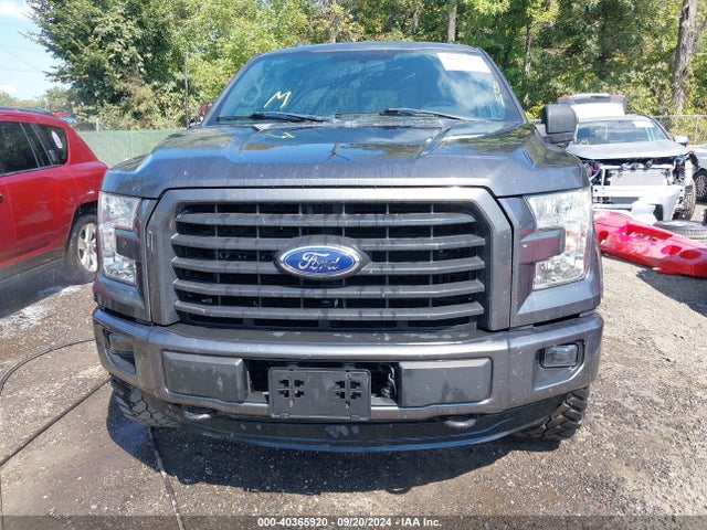 Ford F-150 Xlt 2015 1FTEW1EG0FFB02162 Image 12