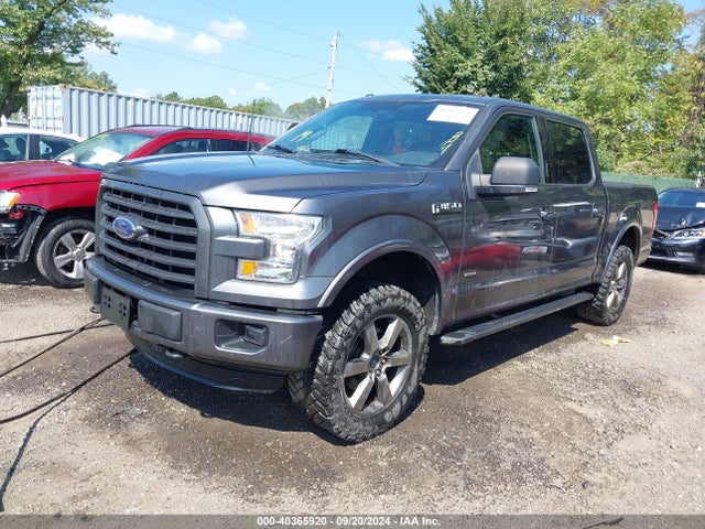 Ford F-150 Xlt 2015 1FTEW1EG0FFB02162 Image 2