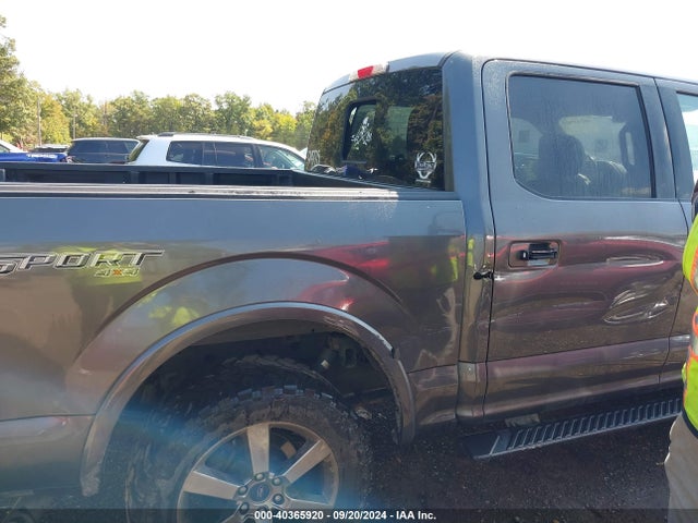 Ford F-150 Xlt 2015 1FTEW1EG0FFB02162 Image 6