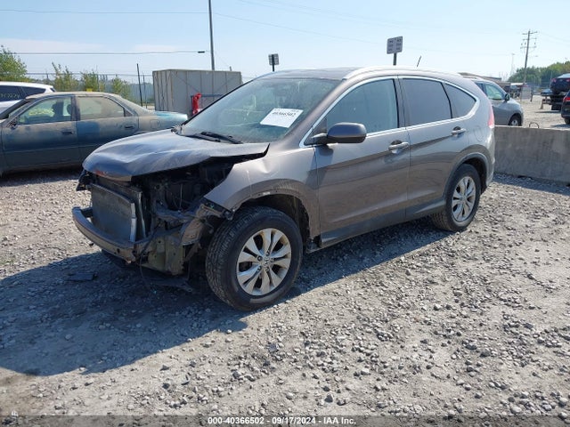 Honda Cr-v Ex-l 2014 2HKRM4H76EH637330 Image 2