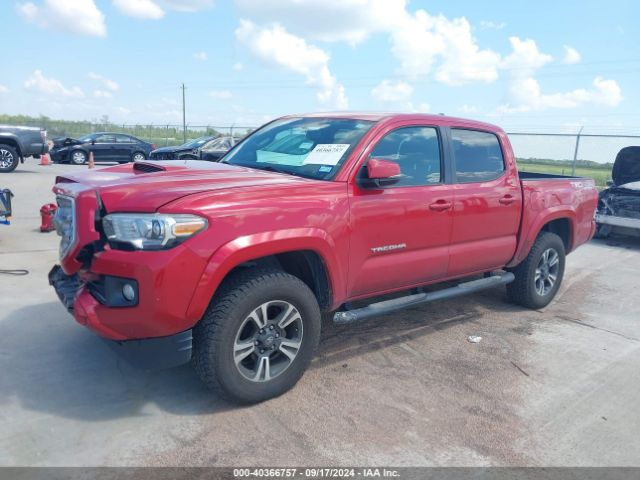 5TFCZ5AN5GX025066 Toyota Tacoma Trd Sport