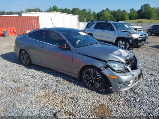 2013 MERCEDES-BENZ C 350 WDDGJ8JB8DG027119