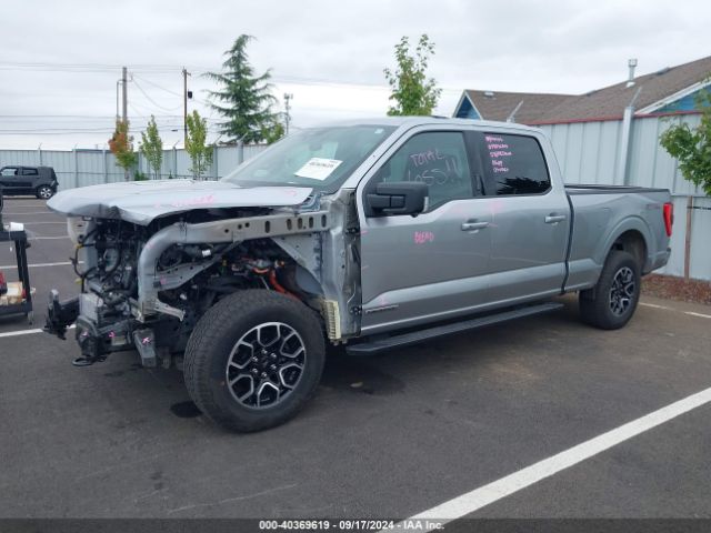 1FTFW1ED9PFA13489 Ford F-150 Xlt