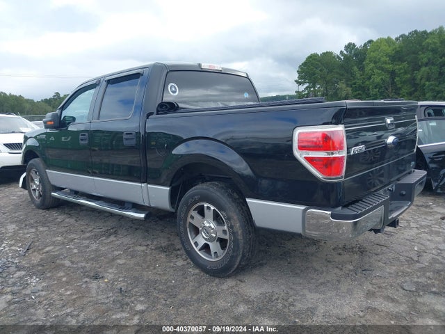 Ford F-150 Xlt 2014 1FTFW1CF5EFA05231 Image 3