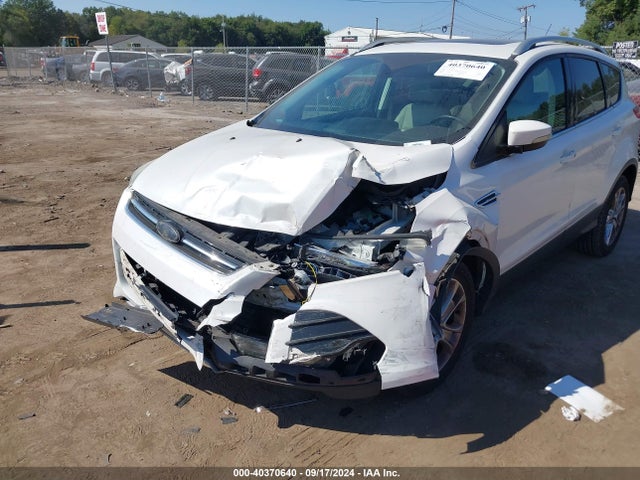 Ford Escape Titanium 2016 1FMCU9JX4GUA38119 Image 6