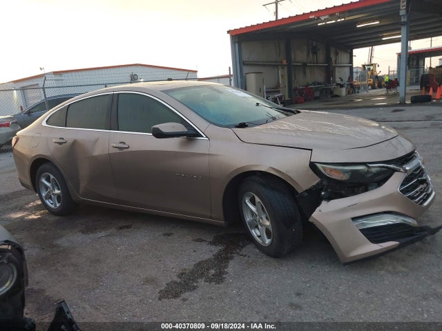 Chevrolet MALIBU LT 2019 1G1ZD5ST8KF174617 Image 13