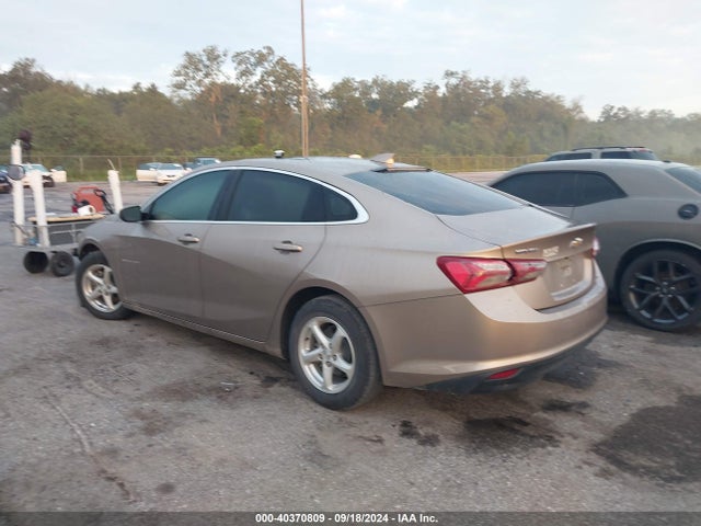 Chevrolet MALIBU LT 2019 1G1ZD5ST8KF174617 Image 3