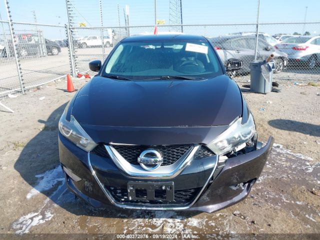 1N4AA6AP3GC396990 Nissan Maxima 3.5 Platinum/3.5 S/3.5 Sl/3.5 Sr/3.5 Sv