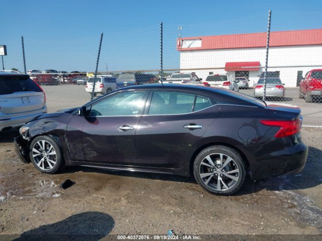 1N4AA6AP3GC396990 Nissan Maxima 3.5 Platinum/3.5 S/3.5 Sl/3.5 Sr/3.5 Sv