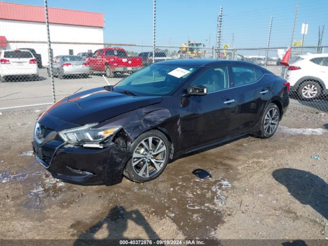 1N4AA6AP3GC396990 Nissan Maxima 3.5 Platinum/3.5 S/3.5 Sl/3.5 Sr/3.5 Sv