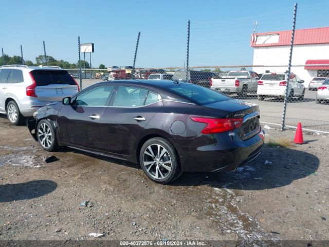 1N4AA6AP3GC396990 Nissan Maxima 3.5 Platinum/3.5 S/3.5 Sl/3.5 Sr/3.5 Sv
