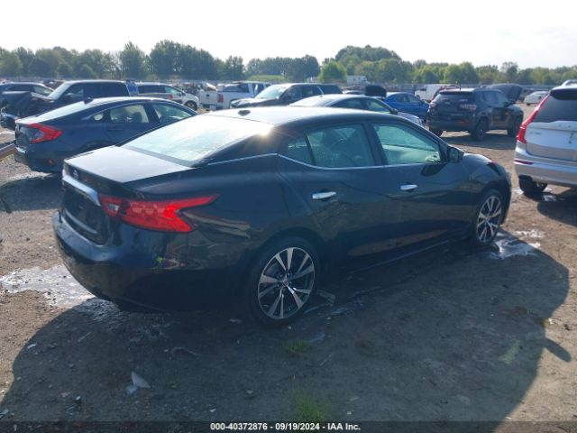 1N4AA6AP3GC396990 Nissan Maxima 3.5 Platinum/3.5 S/3.5 Sl/3.5 Sr/3.5 Sv