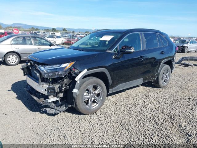 2T3P1RFV1RC422081 Toyota Rav4 Xle