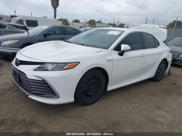4T1C31AK7MU550459 Toyota Camry Le Hybrid