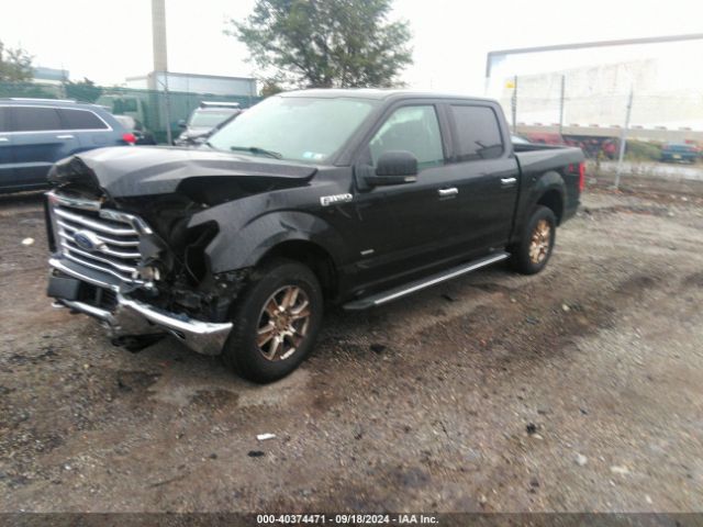 1FTEW1EP7FFA65868 Ford F-150 Xlt