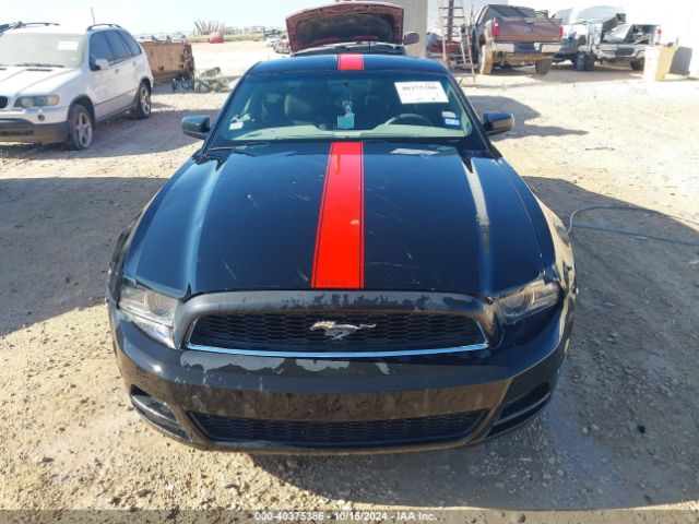 1ZVBP8AM9E5215114 Ford Mustang V6