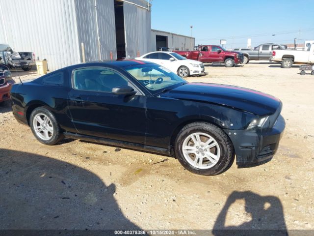 1ZVBP8AM9E5215114 Ford Mustang V6