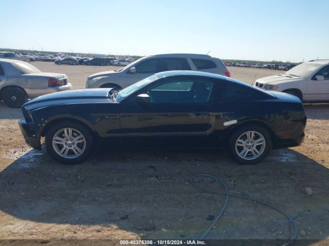1ZVBP8AM9E5215114 Ford Mustang V6