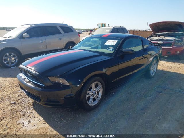 1ZVBP8AM9E5215114 Ford Mustang V6