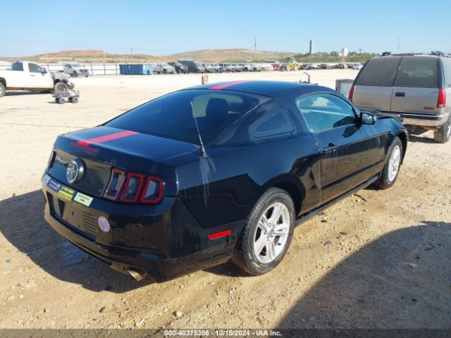 1ZVBP8AM9E5215114 Ford Mustang V6