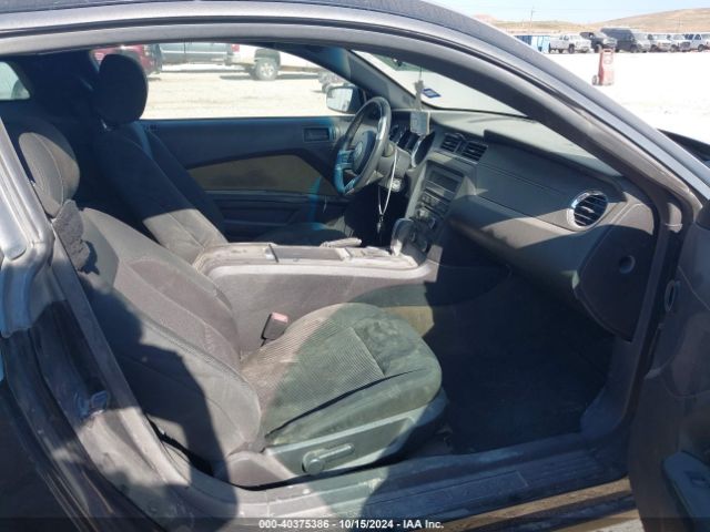 1ZVBP8AM9E5215114 Ford Mustang V6