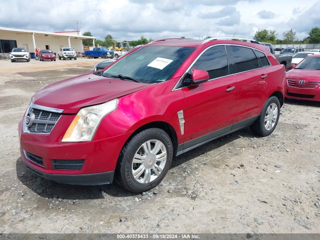 Продажа на аукционе авто 2010 Cadillac Srx Luxury Collection, vin: 3GYFNAEY2AS515845, номер лота: 40375433